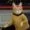 Profile photo of Balthazar