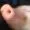 Profile photo of Roquendur